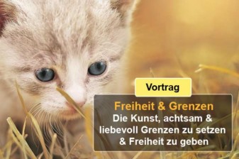 Bonusmaterial Vortrag Onlinekurs Mit Kindern wachsen