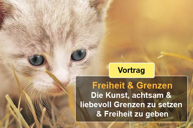 Bonusmaterial Vortrag Onlinekurs Mit Kindern wachsen