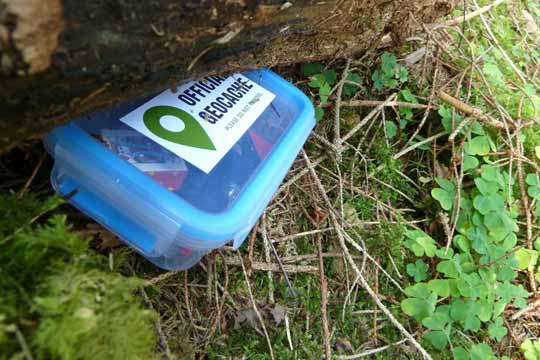 Geocaching mit Kindern - das verbindende Outdoorabenteuer für die ganze Familie