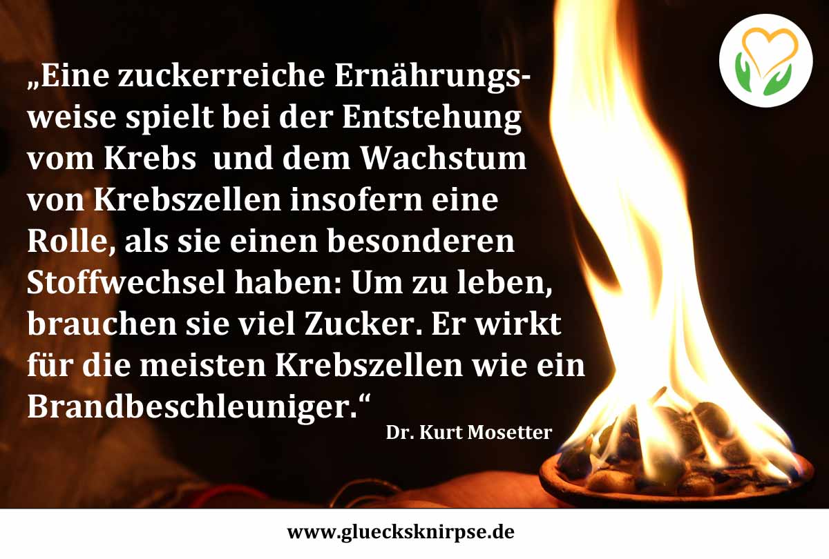 Zucker Krebs Brandbeschleuniger Mosetter