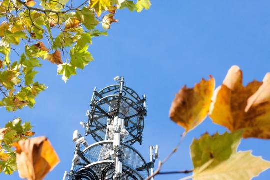 Wie gesundheitsgefährdend sind Mobilfunk, WLAN, Schnurlostelefon & Co. wirklich?