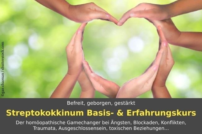 Kurs-Info für den Basiskurs Streptokokkinum