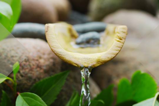 Lebendiges & gesundes Trinkwasser selbst filtern – einfach & günstig