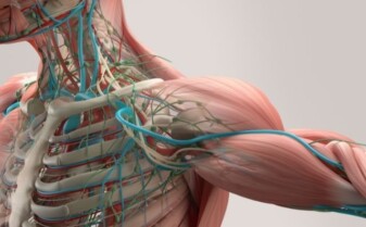 Effektive Faszien-Strategie