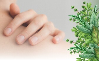 Kräuterworkshop Haut