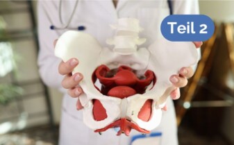 Paledia-Abend Teil 2