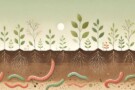 Effektive Mikroorganismen für gesunde, starke (Haus-) Tiere & lebendige, fruchtbare Gärten & Felder