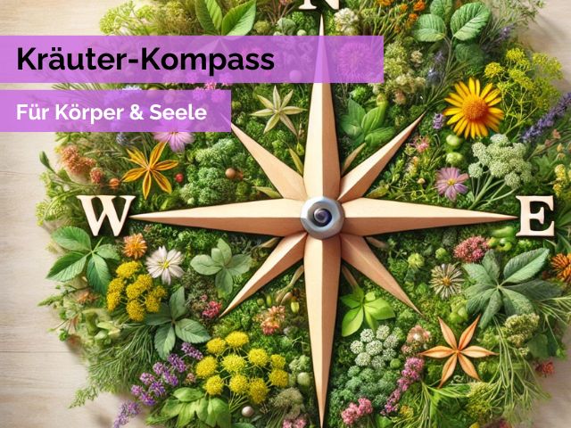 Persönlicher Bereich: Kräuterkompass Kräuterkompass für Körper & Seele