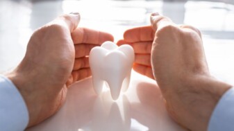 Vorschaubild Wissensschatz Zähne