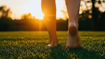 Vorschaubild Erdungsworkshop