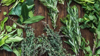 Vorschaubild Kräuterwebinar