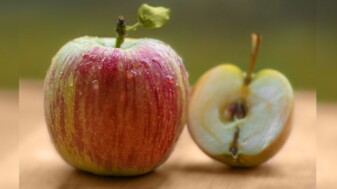 Vorschaubild Kneißl Interview Wissensschatz